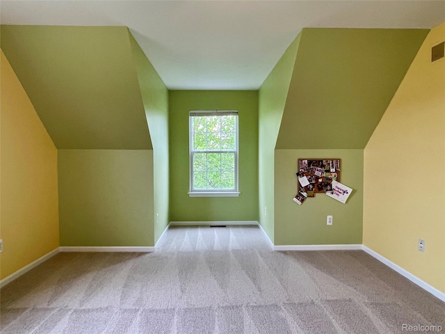1325 Capac Rd, Berlin, MI 48002 - additional living space with carpet, baseboards, and vaulted ceiling