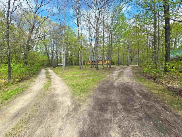 1470 N Al Moses Rd, Lake City, MI 49651 - photo 49