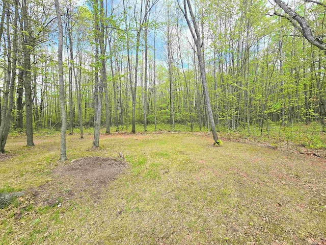 1470 N Al Moses Rd, Lake City, MI 49651 - photo 57