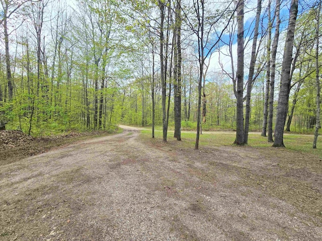 1470 N Al Moses Rd, Lake City, MI 49651 - photo 60
