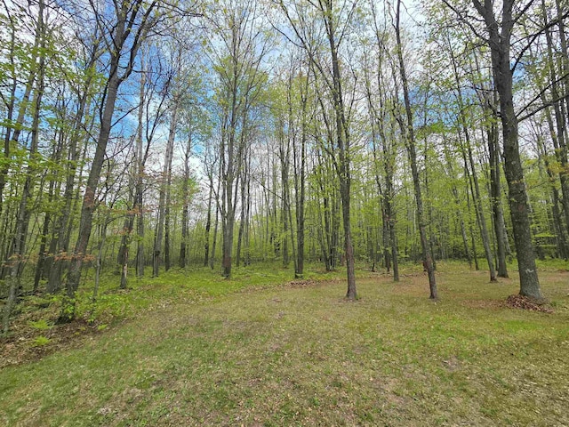 1470 N Al Moses Rd, Lake City, MI 49651 - photo 61
