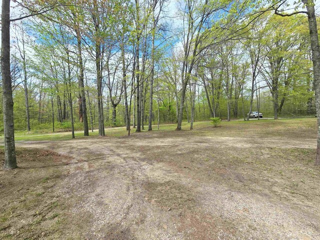 1470 N Al Moses Rd, Lake City, MI 49651 - photo 62