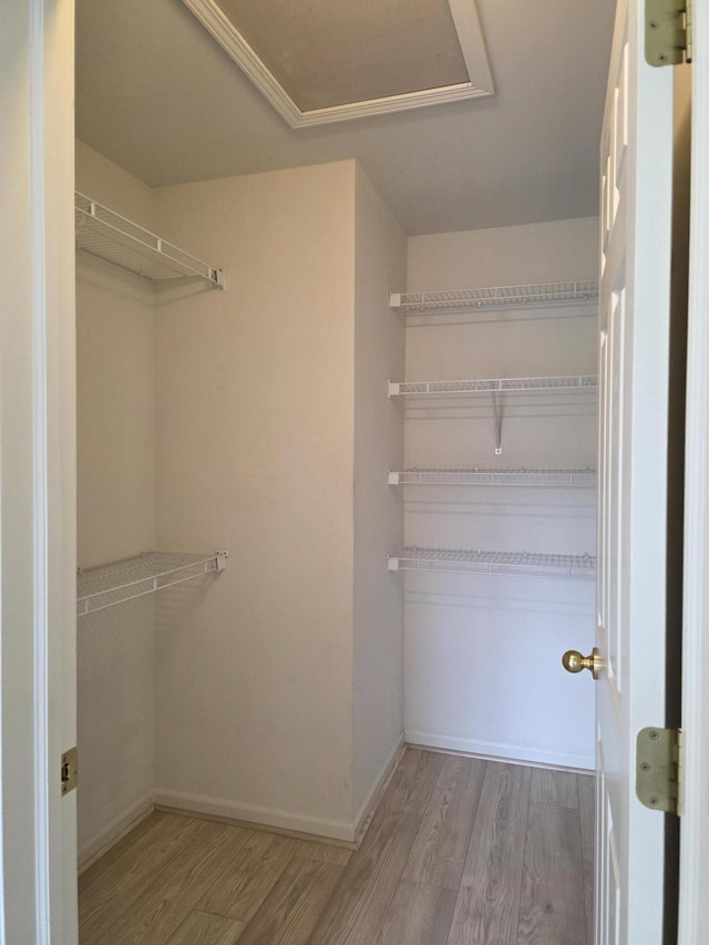 2936 Signature Blvd, Ann Arbor, MI 48103 - walk in closet featuring wood finished floors and attic access