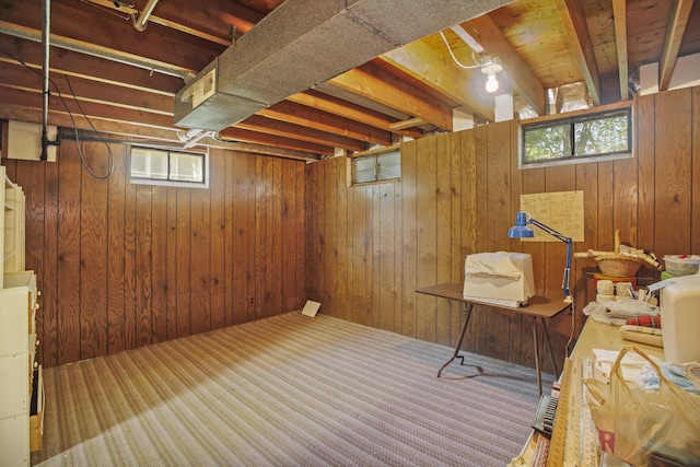 15035 155th Ave, Grand Haven, MI 49417 - below grade area with wooden walls and carpet