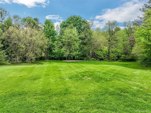 941 Viewland Dr, Rochester, MI 48309 - photo 10
