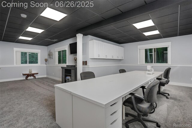800 Greystone Dr, Chelsea, MI 48118 - home office with carpet floors and a drop ceiling