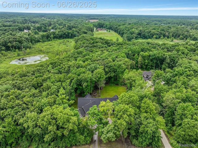 800 Greystone Dr, Chelsea, MI 48118 - bird's eye view of a forest