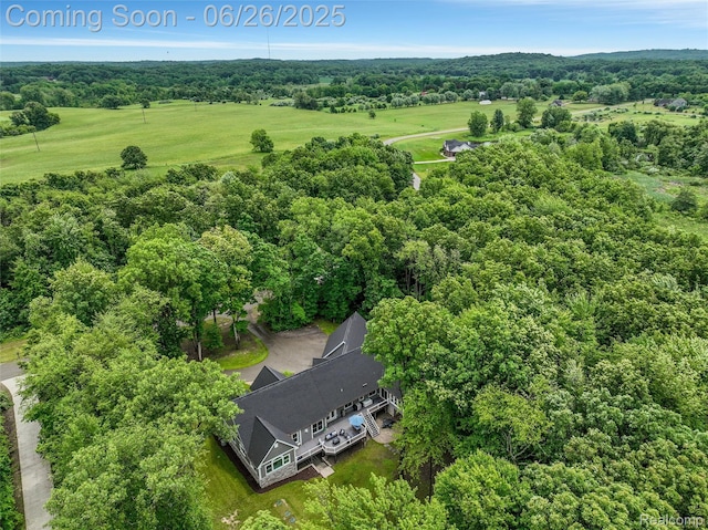 800 Greystone Dr, Chelsea, MI 48118 - aerial view of a forest