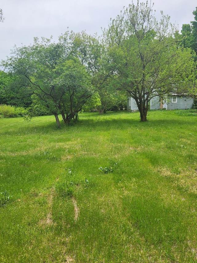19354 Dutch Settlement St, Cassopolis, MI 49031 - view of yard