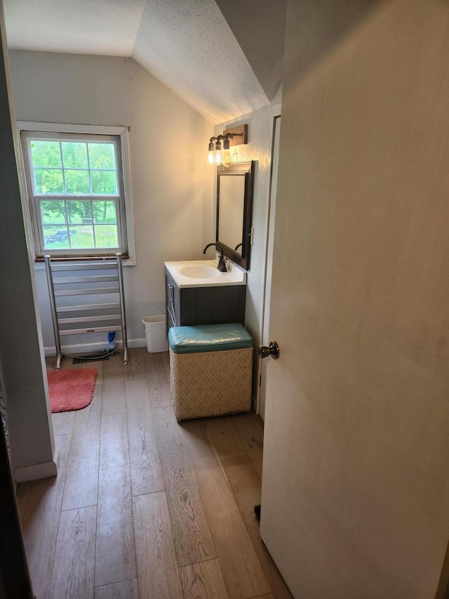 19354 Dutch Settlement St, Cassopolis, MI 49031 - bathroom with vaulted ceiling, wood-type flooring, vanity, toilet, and baseboards