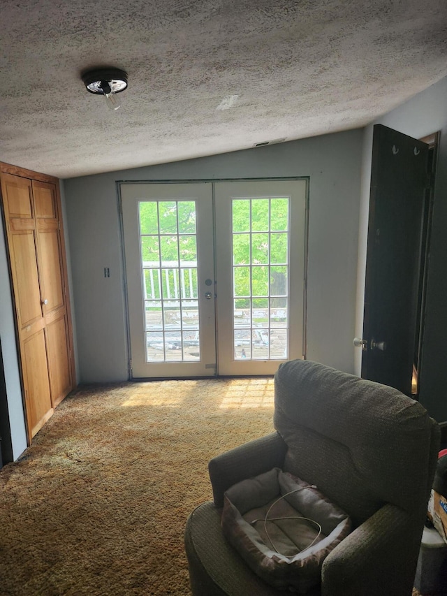 19354 Dutch Settlement St, Cassopolis, MI 49031 - living area featuring a textured ceiling, french doors, carpet floors, and lofted ceiling