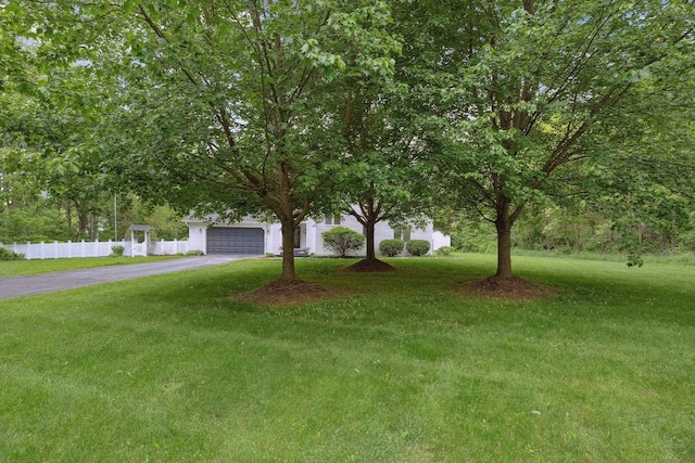 16350 Whitaker Rd, Linden, MI 48451 - view of property hidden behind natural elements featuring driveway and an attached garage