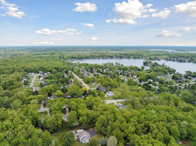16350 Whitaker Rd, Linden, MI 48451 - bird's eye view of a large body of water and a heavily wooded area