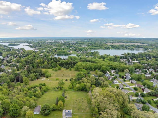 16350 Whitaker Rd, Linden, MI 48451 - drone / aerial view of a nearby body of water