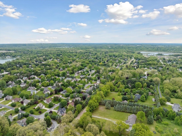 16350 Whitaker Rd, Linden, MI 48451 - bird's eye view of a large body of water and a heavily wooded area