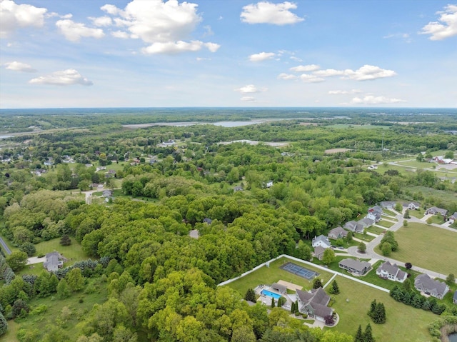 16350 Whitaker Rd, Linden, MI 48451 - aerial view of a forest