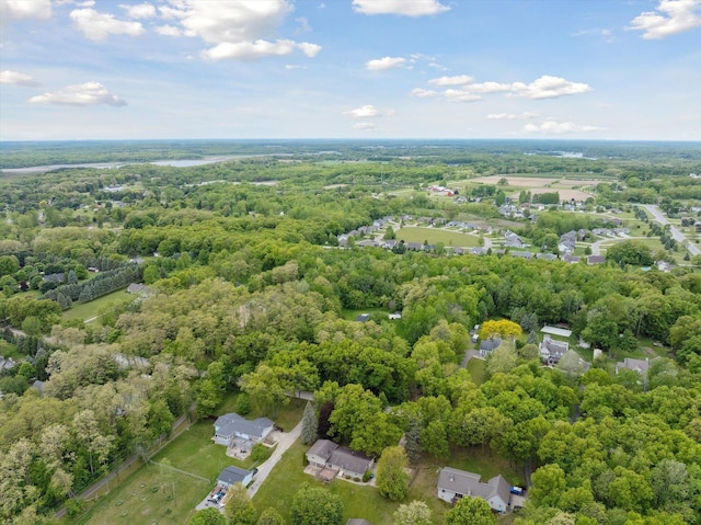 16350 Whitaker Rd, Linden, MI 48451 - bird's eye view of a heavily wooded area