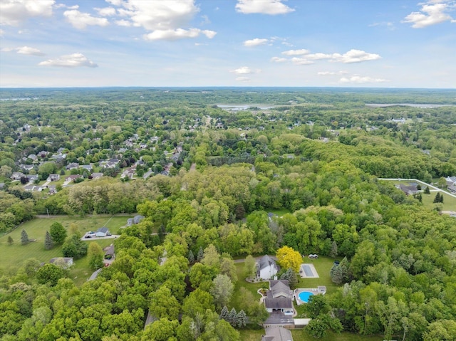16350 Whitaker Rd, Linden, MI 48451 - aerial view of a forest and a pool