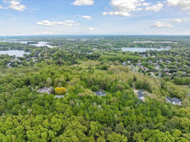 16350 Whitaker Rd, Linden, MI 48451 - bird's eye view of a large body of water and a forest