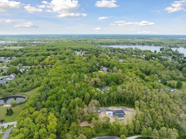 16350 Whitaker Rd, Linden, MI 48451 - bird's eye view of a large body of water and a heavily wooded area