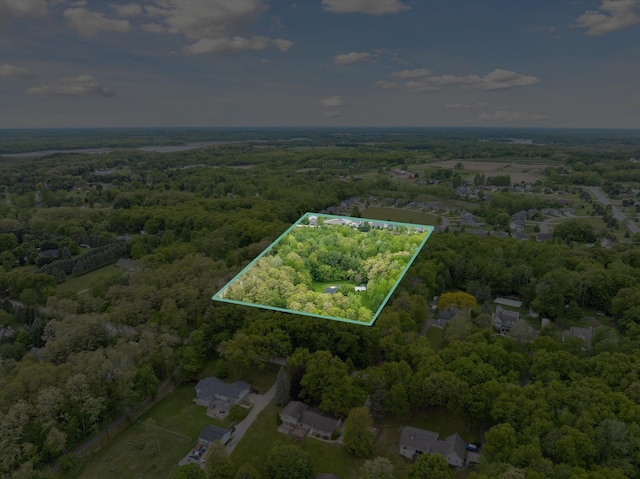 16350 Whitaker Rd, Linden, MI 48451 - aerial view of property and surrounding area featuring a heavily wooded area and property parcel outlined