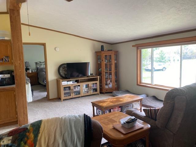 10559 Rosted Rd, Lake City, MI 49651