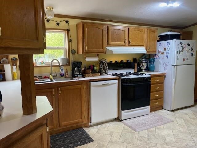 10559 Rosted Rd, Lake City, MI 49651