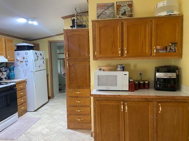 10559 Rosted Rd, Lake City, MI 49651