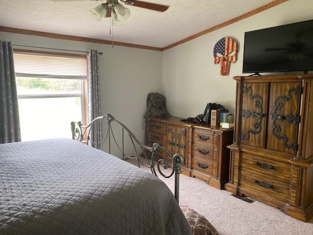 10559 Rosted Rd, Lake City, MI 49651