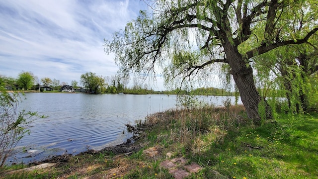 599 Ruby Rd, Sheridan, MI 48884 - water view