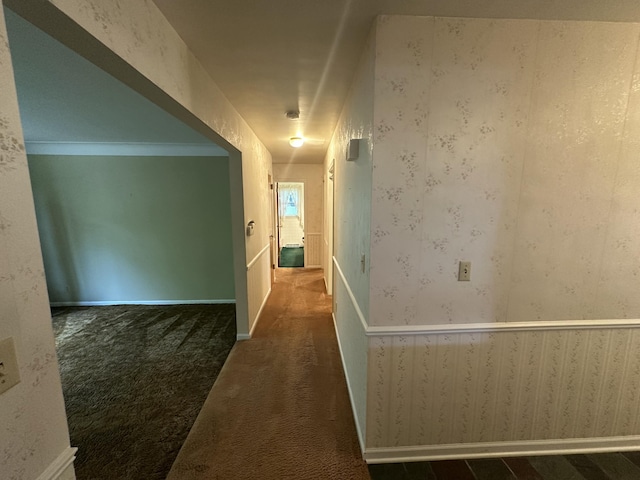 388 Richard St, Spring Arbor, MI 49283 - hallway with carpet flooring
