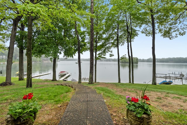 11676 Bradley Dr, Jerome, MI 49249 - water view featuring a boat dock