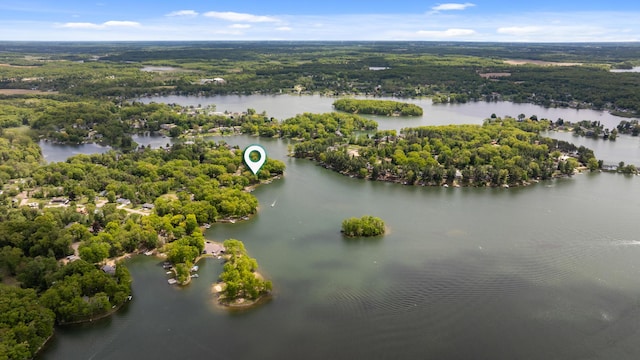 11676 Bradley Dr, Jerome, MI 49249 - bird's eye view of a nearby body of water and a heavily wooded area