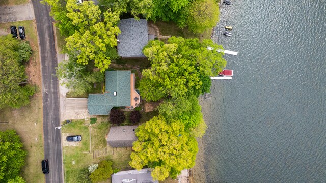 11676 Bradley Dr, Jerome, MI 49249 - aerial view of a large body of water