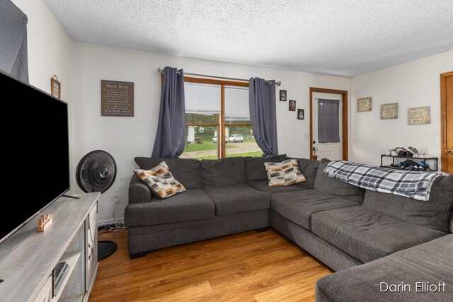 604/606 N New Dexter St, Ionia, MI 48846 - living room with light wood finished floors and a textured ceiling