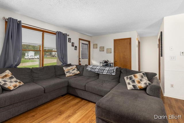 604/606 N New Dexter St, Ionia, MI 48846 - living room featuring wood finished floors and a textured ceiling