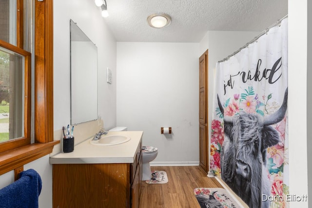604/606 N New Dexter St, Ionia, MI 48846 - full bath featuring toilet, wood finished floors, vanity, a textured ceiling, and baseboards
