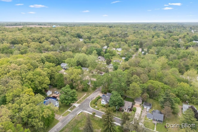 604/606 N New Dexter St, Ionia, MI 48846 - view of property location with a forest