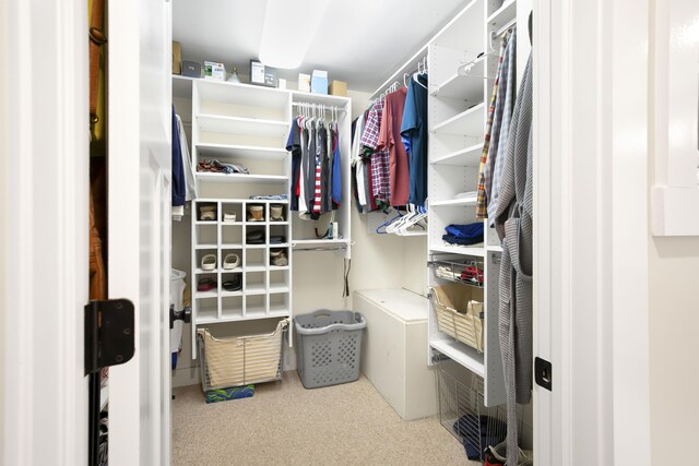 67881 Edgewater Beach Rd, White Pigeon, MI 49099 - spacious closet with carpet flooring