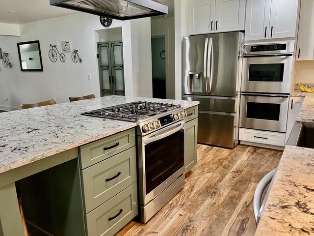 2985 Middle Lake Rd, Twin Lake, MI 49457 - kitchen with stainless steel appliances, light wood finished floors, light stone countertops, under cabinet range hood, and green cabinetry