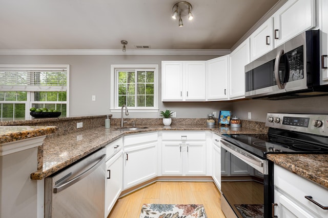 3039 Barclay Way, Ann Arbor, MI 48105 - kitchen with stainless steel appliances, a sink, ornamental molding, light wood-style floors, and dark stone countertops