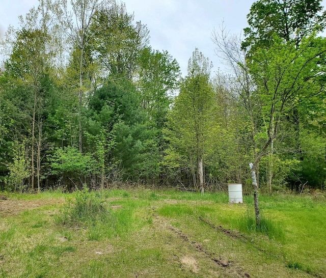 1148 Horseshoe Dr, Alger, MI 48610
