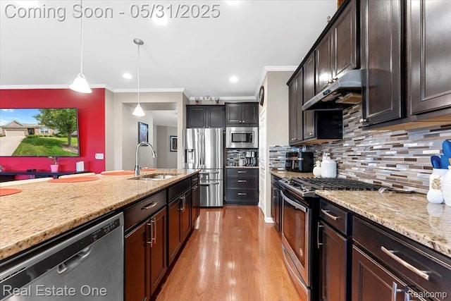 23893 Manistee Ln, Flat Rock, MI 48134 - kitchen with appliances with stainless steel finishes, a sink, crown molding, ventilation hood, and light wood-type flooring