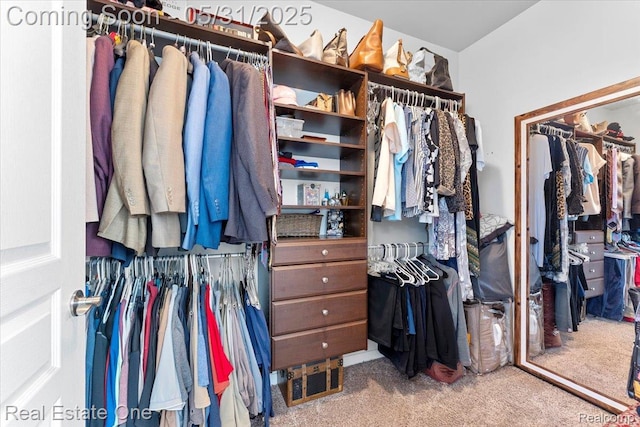 23893 Manistee Ln, Flat Rock, MI 48134 - spacious closet featuring carpet flooring