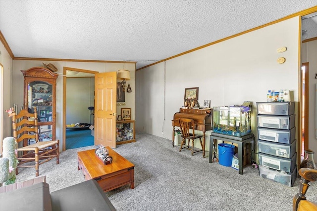 1818 E 58th St, Newaygo, MI 49337 - living room featuring ornamental molding, a textured ceiling, and carpet floors