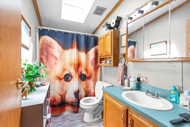 1818 E 58th St, Newaygo, MI 49337 - bathroom featuring vanity, wood finished floors, toilet, a skylight, and a shower with curtain
