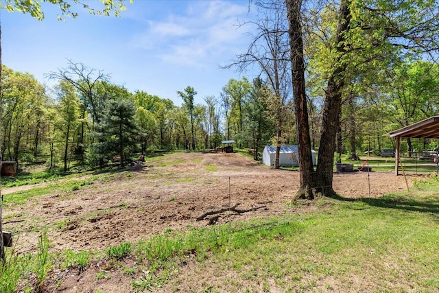 1818 E 58th St, Newaygo, MI 49337 - view of yard