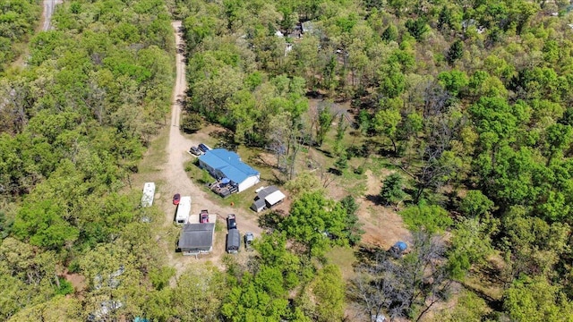 1818 E 58th St, Newaygo, MI 49337 - bird's eye view