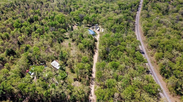 1818 E 58th St, Newaygo, MI 49337 - drone / aerial view of a forest