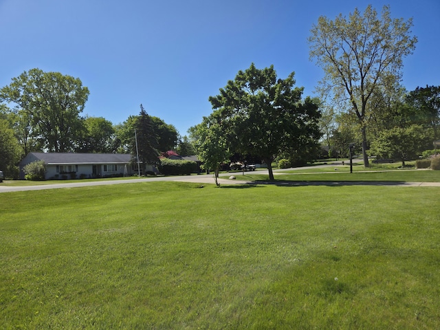 25893 Clark St, Novi, MI 48375 - view of grassy yard